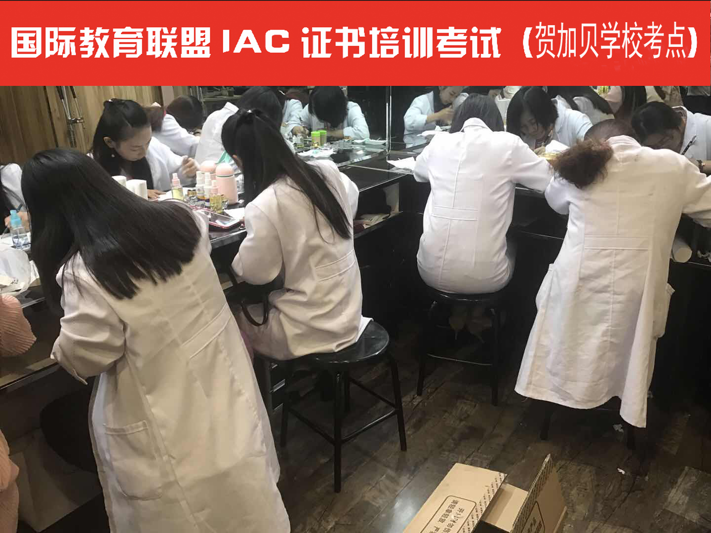 贺加贝集团第12期培训现场